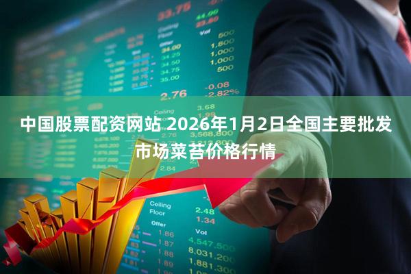 中国股票配资网站 2026年1月2日全国主要批发市场菜苔价格行情